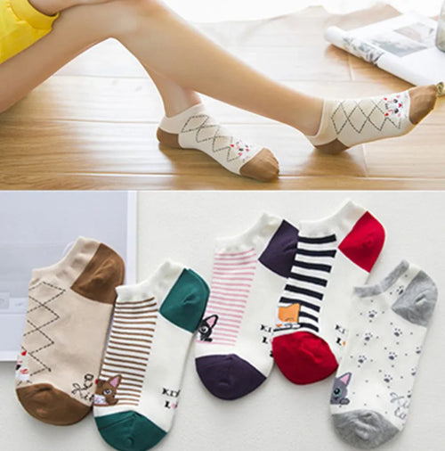 5 Pares de Calcetines para Mujer - Gatos Lindos y Diverti