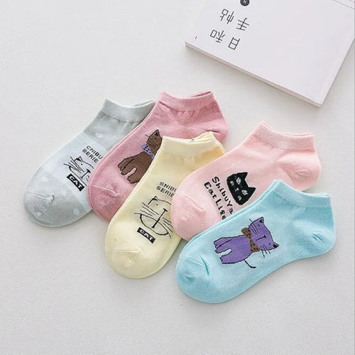 5 Pares de Calcetines para Mujer - Gatos Lindos y Diverti